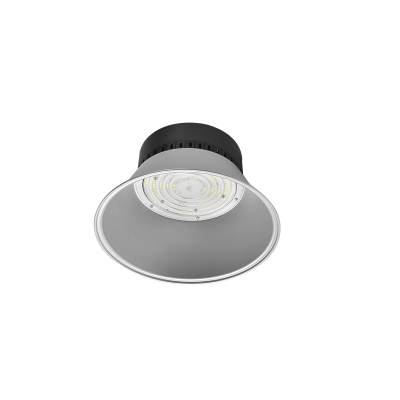 APL-18616E-2...